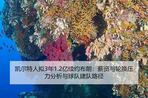 kai-er-te-ren-ni-nian-yi-xu-yue-bu-lang-xin-zi-yu-lun-huan-ya-li-fen-xi-yu-qiu-dui-jian-dui-lu-jing-2-242.jpg